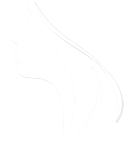 Login Form Logo